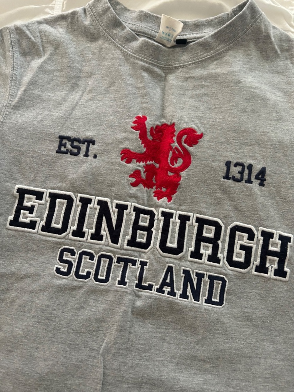 Embroidered T-Shirt - Picture 2 of 7